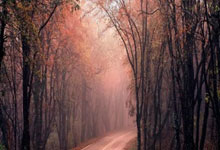 世界杯外围 -12306公布候补购票成功率：70%以上