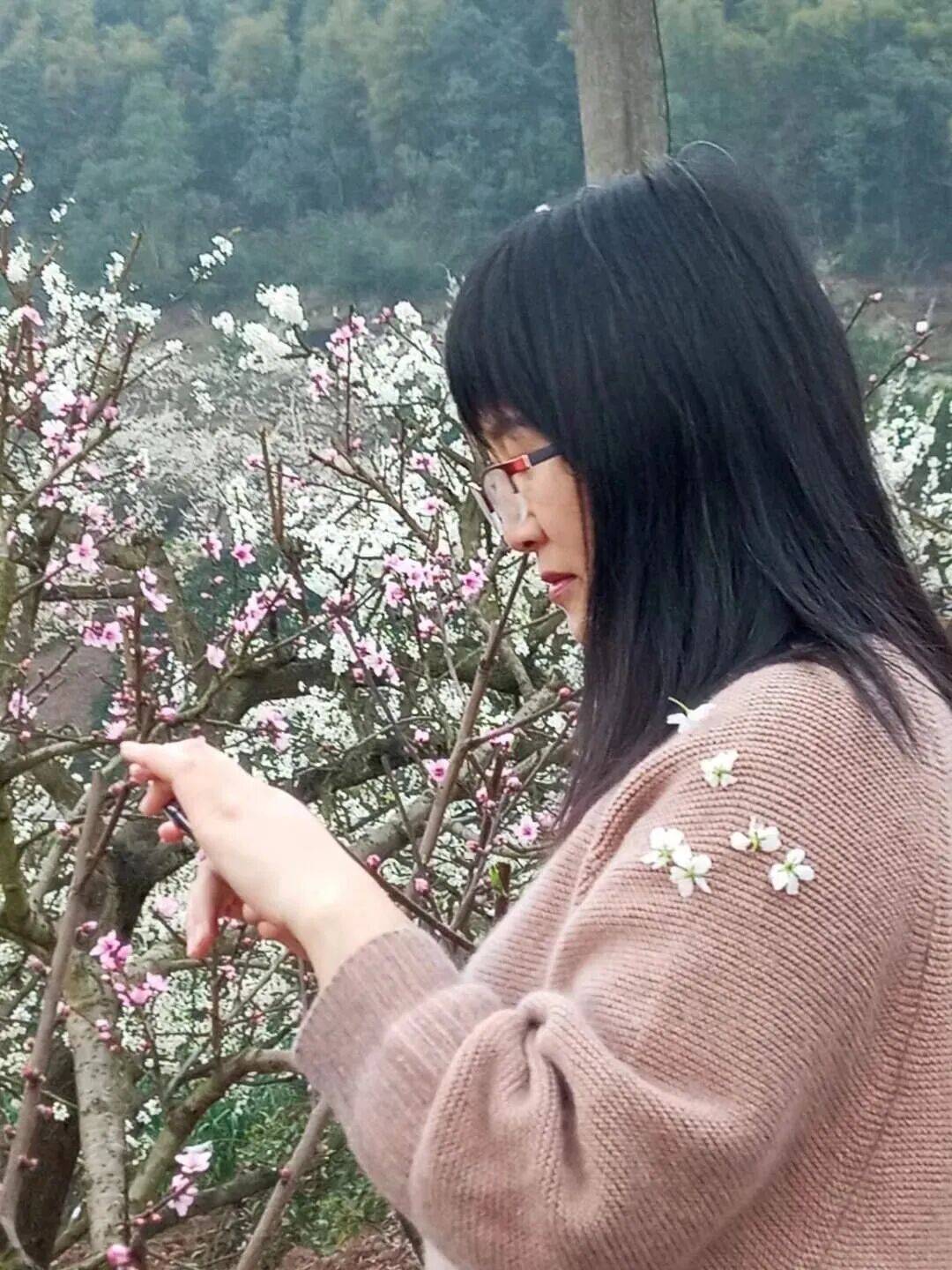 人生底事总相违 || 曹劲《浣溪沙》小辑